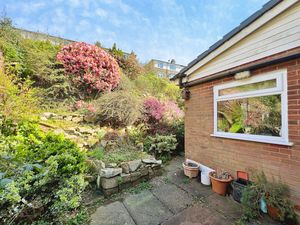 Garden- click for photo gallery